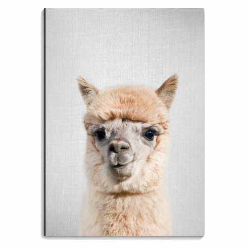 Alpaca - Colorful - personalised A4, A5, A6 notebook by Gal Design