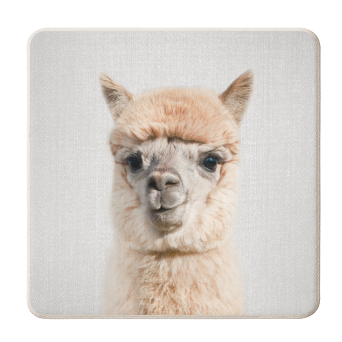 Alpaca - Colorful - personalised beer coaster by Gal Design