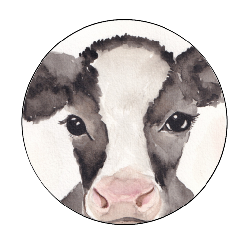 Cow mugshot - Circle Sticker by Linbylane
