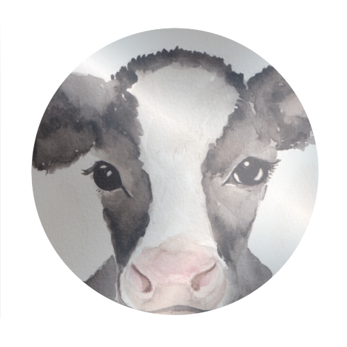 Cow mugshot - Circle Sticker by Linbylane