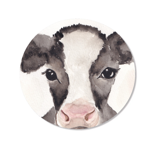 Cow mugshot - Magnet by Linbylane