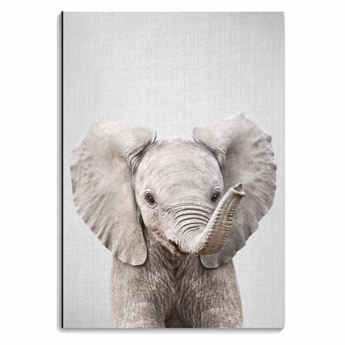 Baby Elephant - Colorful - personalised A4, A5, A6 notebook by Gal Design