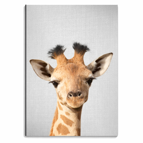Baby Giraffe - Colorful - personalised A4, A5, A6 notebook by Gal Design