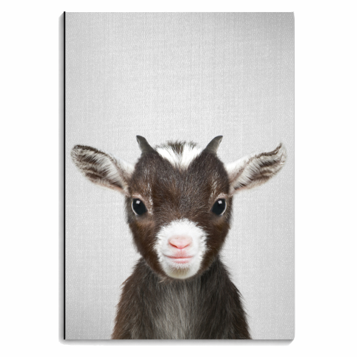 Baby Goat - personalised A4, A5, A6 notebook by Gal Design