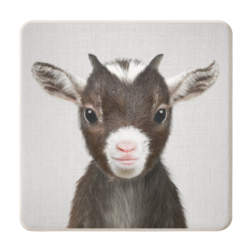 Baby Goat - personalised beer coaster by Gal Design