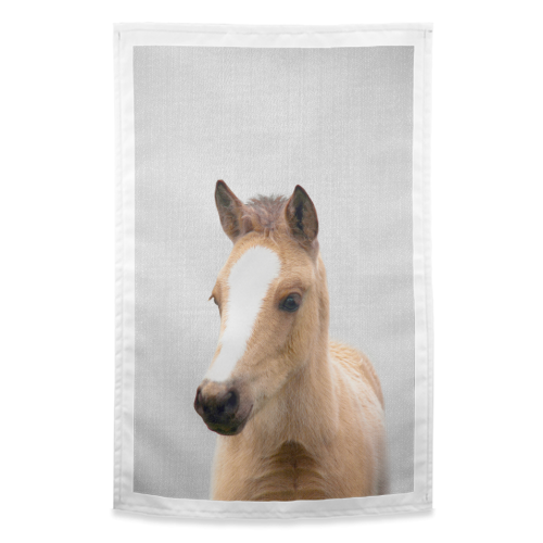 Baby Horse - Colorful - funny tea towel by Gal Design