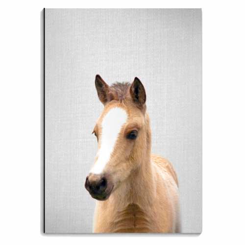 Baby Horse - Colorful - personalised A4, A5, A6 notebook by Gal Design