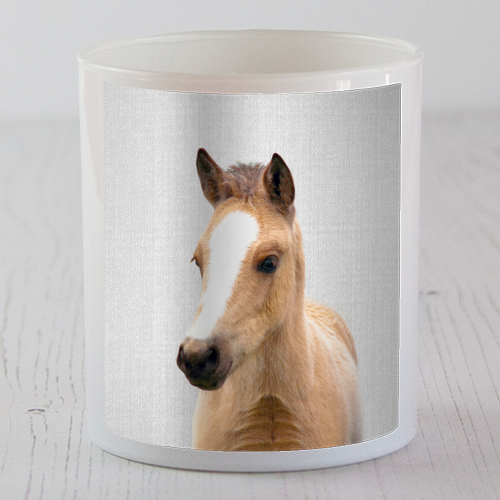 Baby Horse - Colorful - scented candle by Gal Design