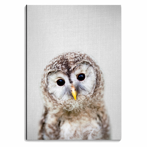 Baby Owl - Colorful - personalised A4, A5, A6 notebook by Gal Design