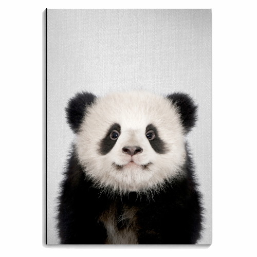 Baby Panda Bear - personalised A4, A5, A6 notebook by Gal Design