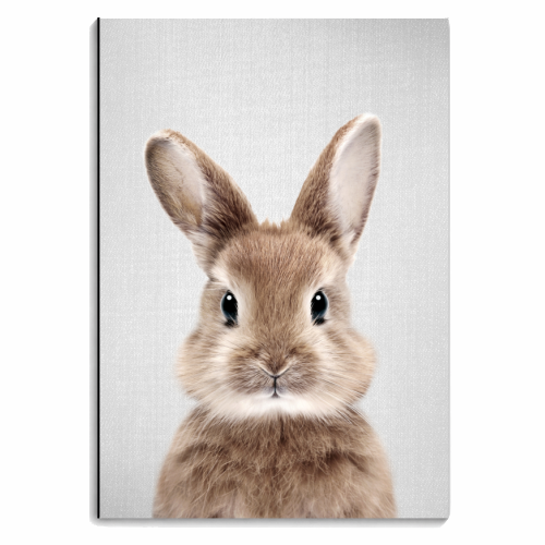 Baby Rabbit - personalised A4, A5, A6 notebook by Gal Design