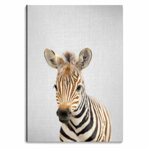 Baby Zebra - Colorful - personalised A4, A5, A6 notebook by Gal Design