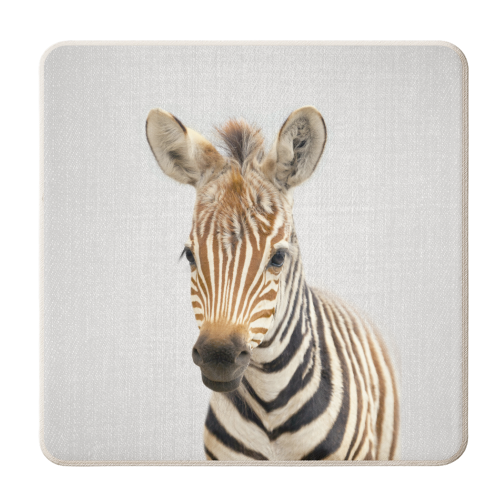 Baby Zebra - Colorful - personalised beer coaster by Gal Design