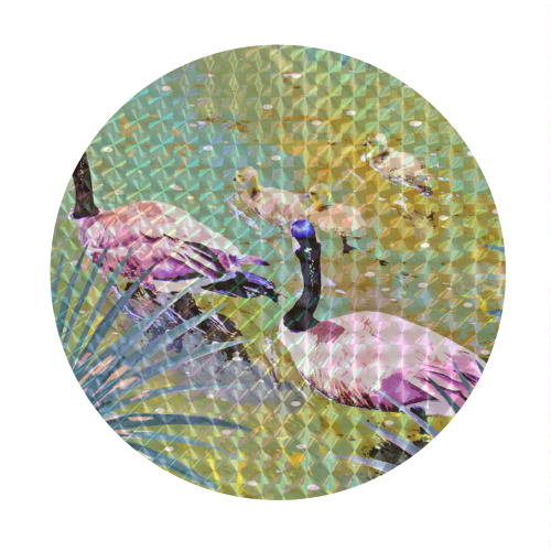 Be Like Ducks In A Pond - Circle Sticker by Uma Prabhakar Gokhale