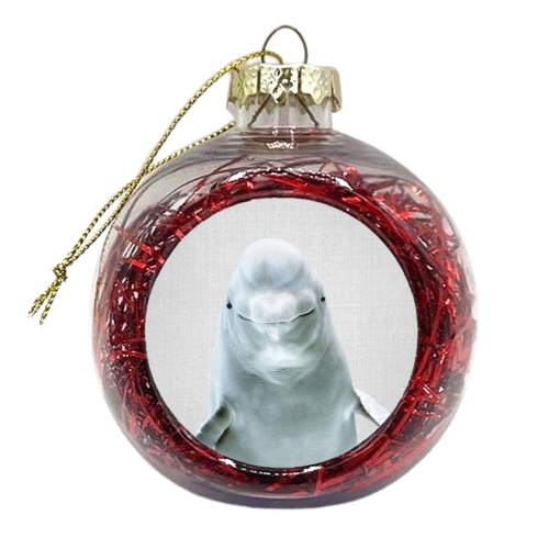 Beluga Whale - Colorful - xmas bauble by Gal Design
