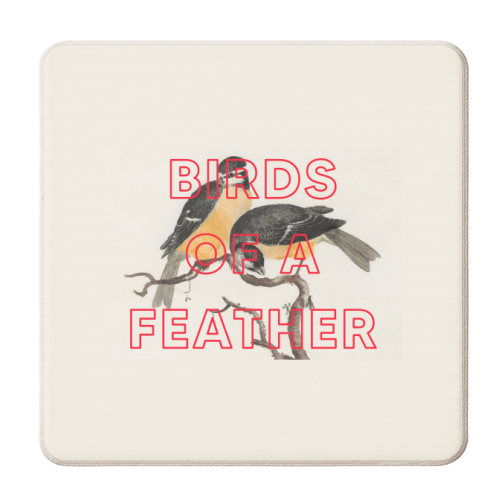 Birds Of A Feather - personalised beer coaster by The 13 Prints