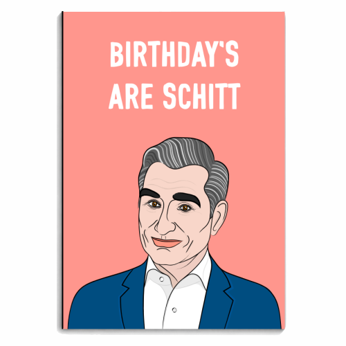 Birthday's Are Schitt - personalised A4, A5, A6 notebook by Adam Regester