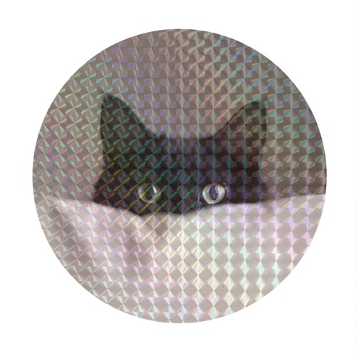 Black cat - Circle Sticker by haris kavalla