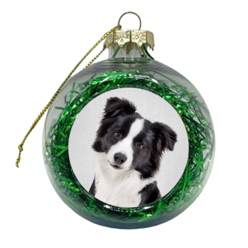 Border Collie - Colorful - xmas bauble by Gal Design
