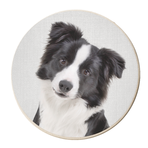 Border Collie - Colorful - personalised beer coaster by Gal Design