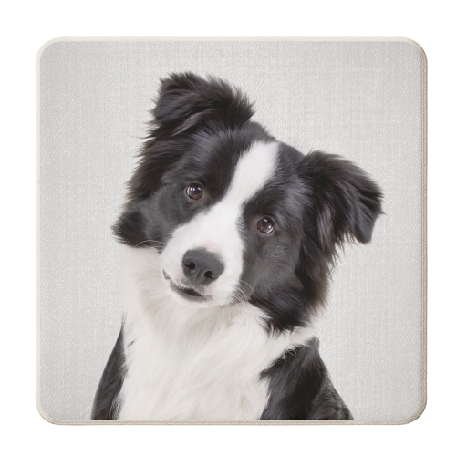 Border Collie - Colorful - personalised beer coaster by Gal Design
