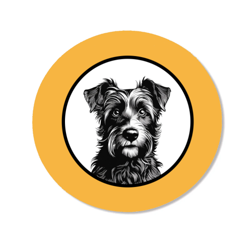 Border Terrier Cameo Dog Portrait (Mustard Yellow) - Magnet by Adam Regester