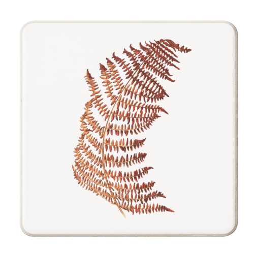 Bracken Leaf - personalised beer coaster by She Walks She Paints