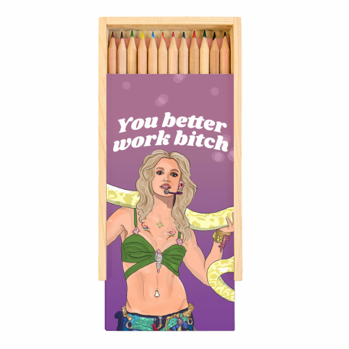 Britney, Bitch - Coloured Pencils with Box by The Queer Store