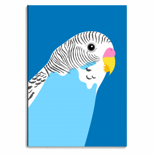 Budgie - personalised A4, A5, A6 notebook by Adam Regester