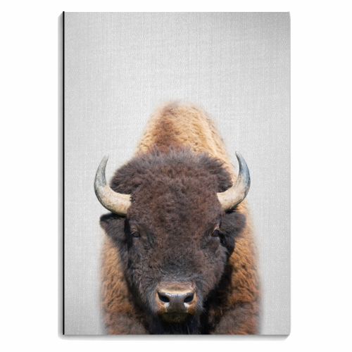 Buffalo - Colorful - personalised A4, A5, A6 notebook by Gal Design