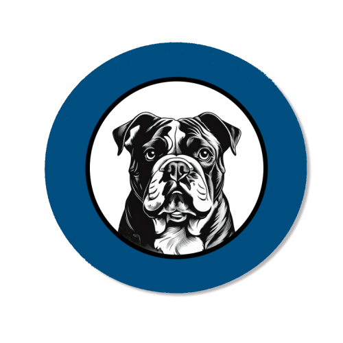 Bulldog Cameo Dog Portrait - Magnet by Adam Regester