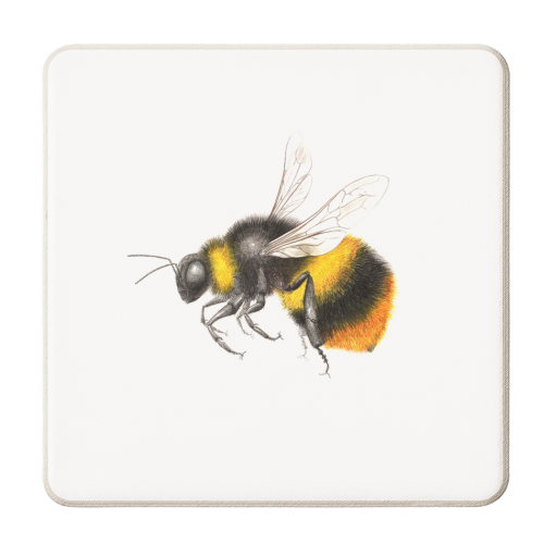 Bumble Bee - personalised beer coaster by MO LEA