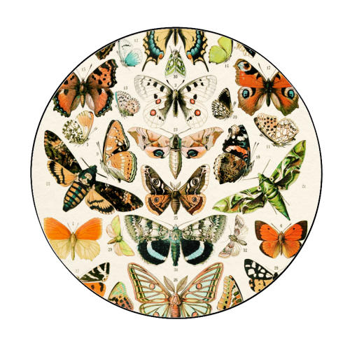 Butterflies Collection - Circle Sticker by Gal Design