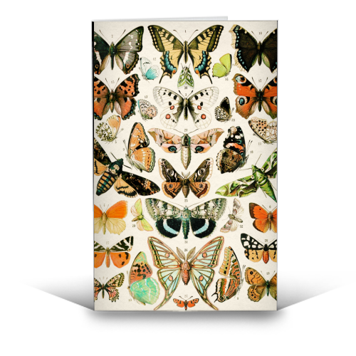 Butterflies Collection - funny greeting card by Gal Design