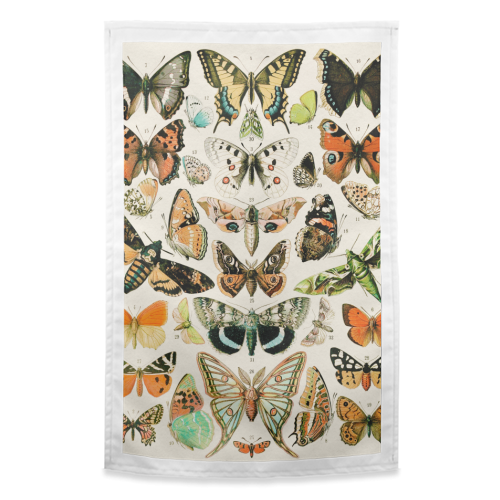 Butterflies Collection - funny tea towel by Gal Design