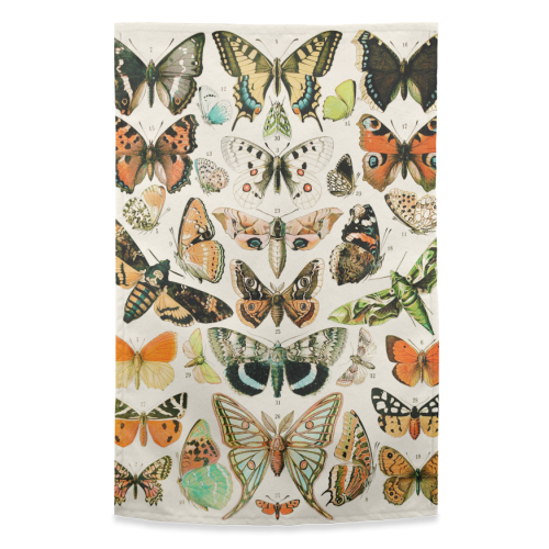 Butterflies Collection - funny tea towel by Gal Design