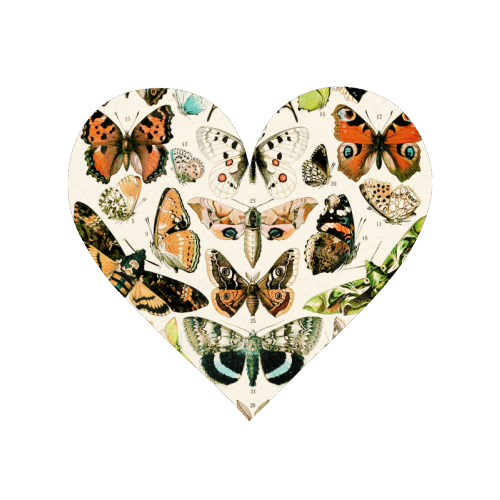 Butterflies Collection - Magnet by Gal Design