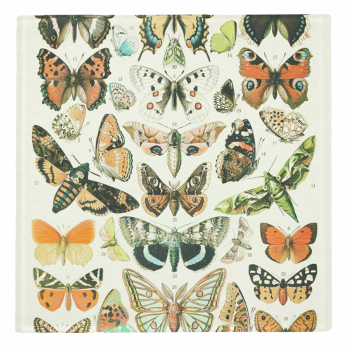 Butterflies Collection - personalised beer coaster by Gal Design