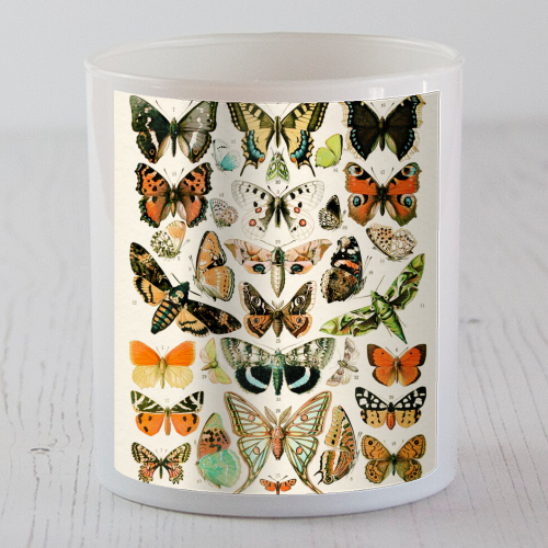 Butterflies Collection - scented candle by Gal Design