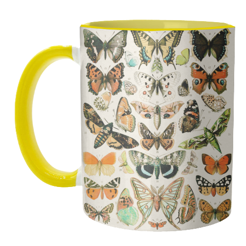 Butterflies Collection - unique mug by Gal Design