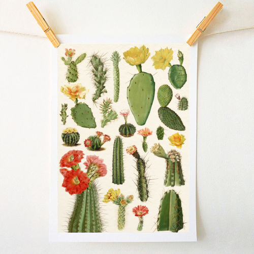 Cacti Collection - A1 - A4 art print by Gal Design