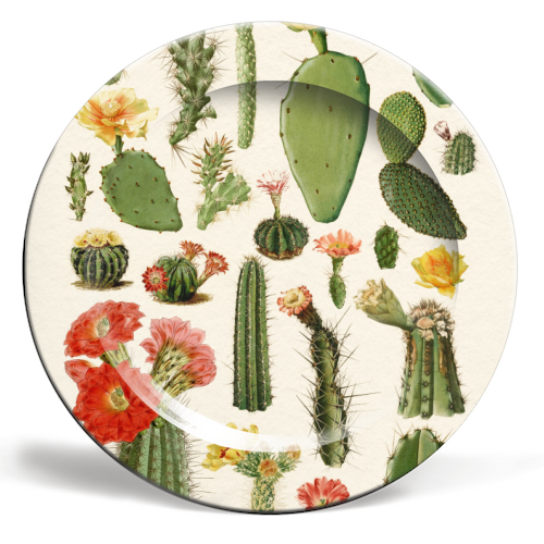 Cacti Collection - ceramic dinner plate by Gal Design