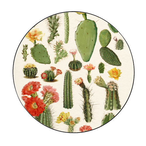Cacti Collection - Circle Sticker by Gal Design