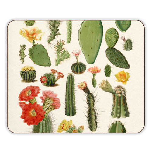 Cacti Collection - designer placemat by Gal Design
