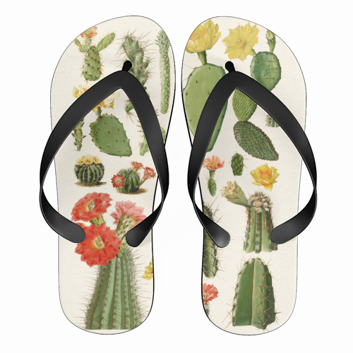 Cacti Collection - funny flip flops by Gal Design
