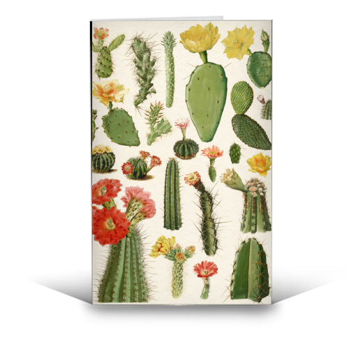 Cacti Collection - funny greeting card by Gal Design