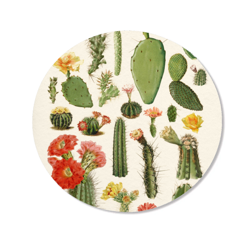 Cacti Collection - Magnet by Gal Design