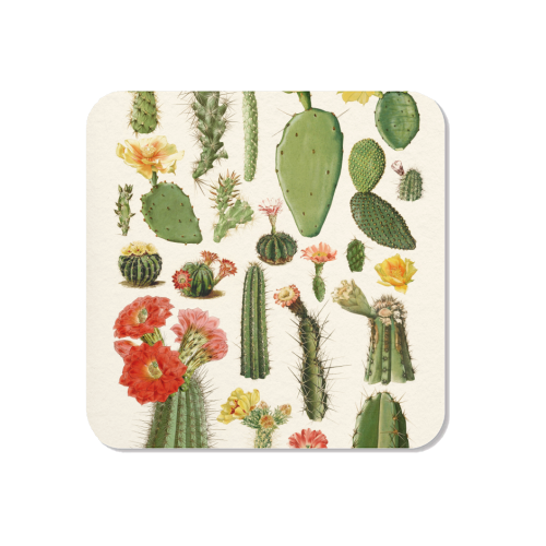 Cacti Collection - Magnet by Gal Design