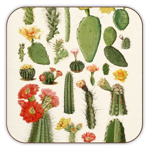 Cacti Collection - personalised beer coaster by Gal Design
