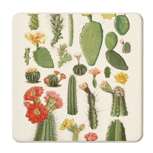 Cacti Collection - personalised beer coaster by Gal Design